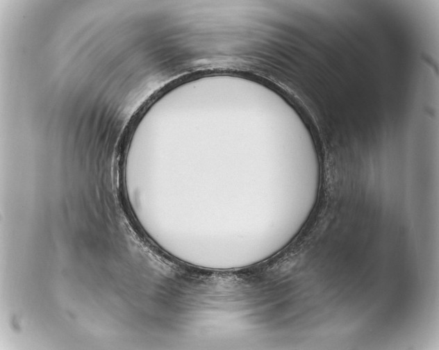 X0000103930983200810031255
