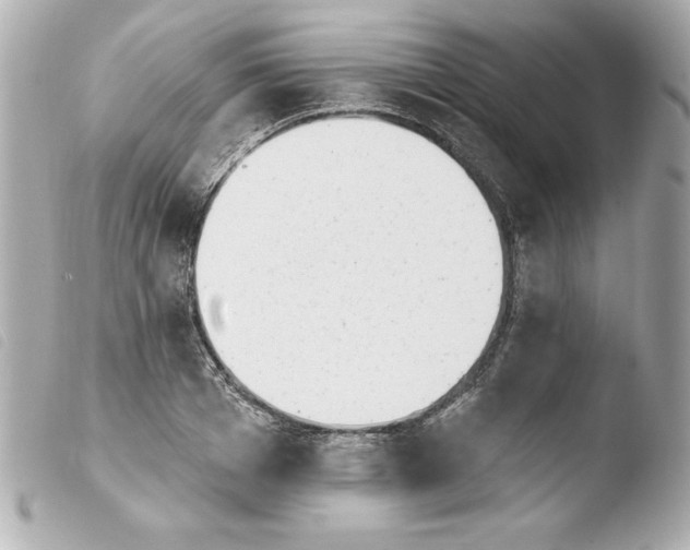 X0000103930985200810031255