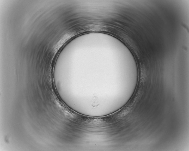 X0000103930986200810031255