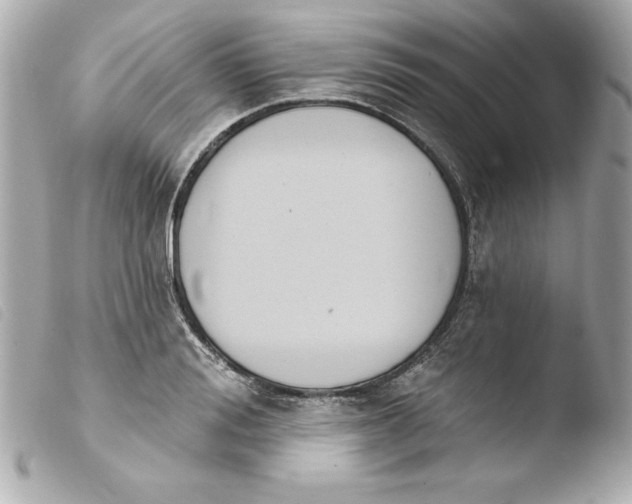 X0000103930988200810031255