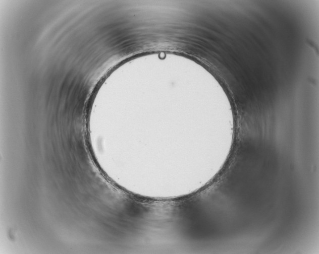 X0000103930989200810031255