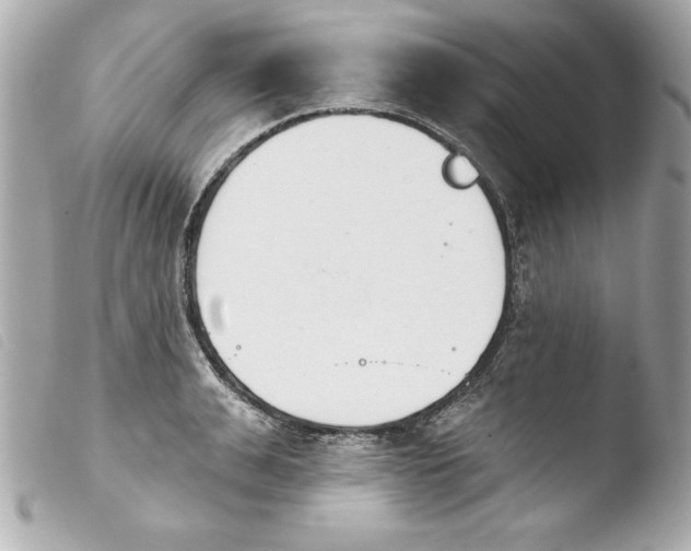 X0000103930991200810031255