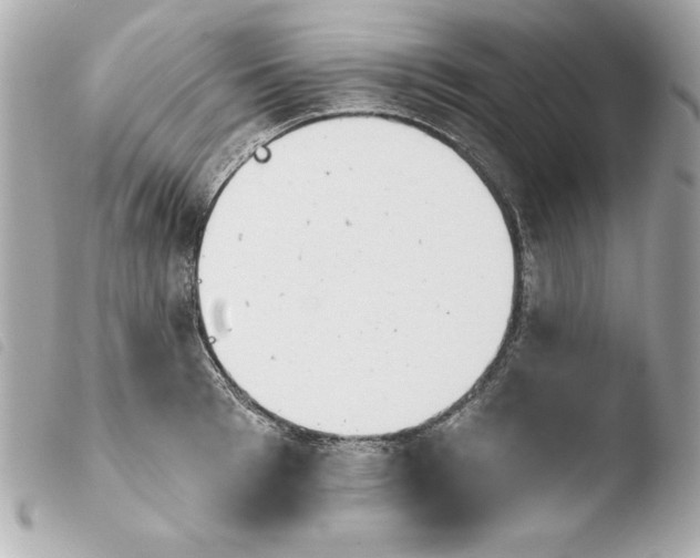 X0000103930993200810031255