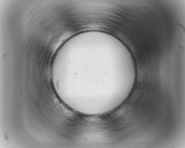 X0000103930994200810031255