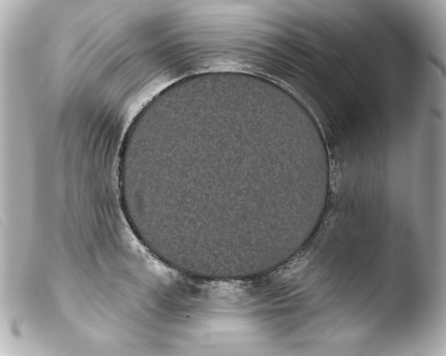 X0000103930995200810031255