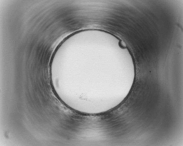 X0000103930996200810031255
