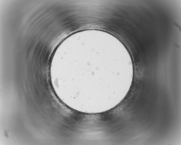 X0000103930997200810031255