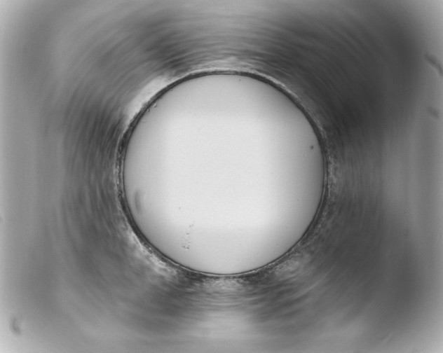 X0000103930998200810031255