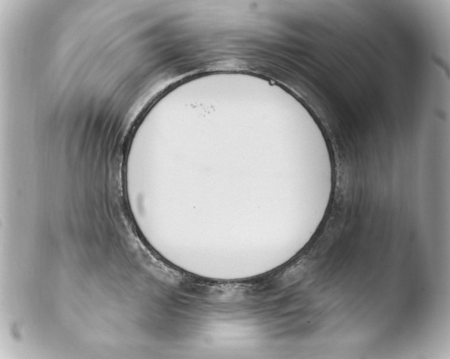 X0000103931000200810031255