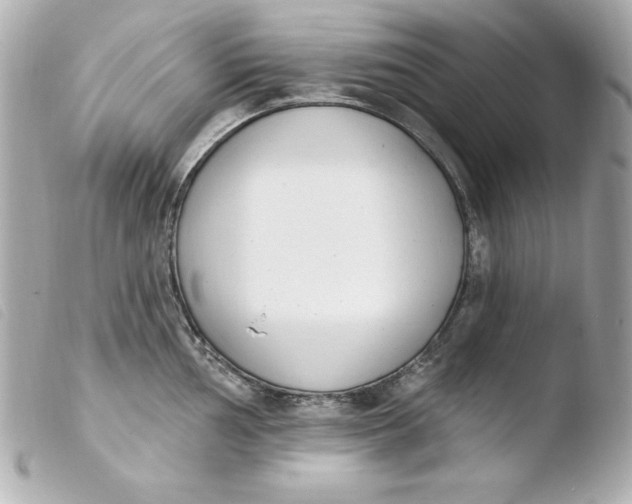 X0000103931002200810031255