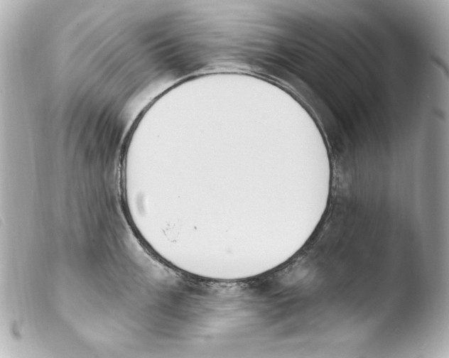 X0000103931003200810031255
