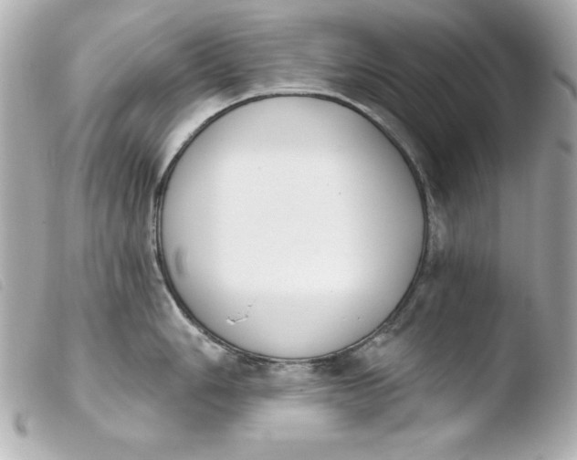X0000103931006200810031254