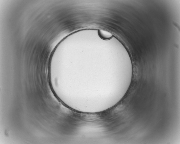 X0000103931007200810031254