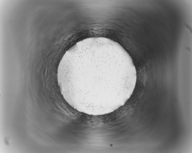 X0000103931009200810031254