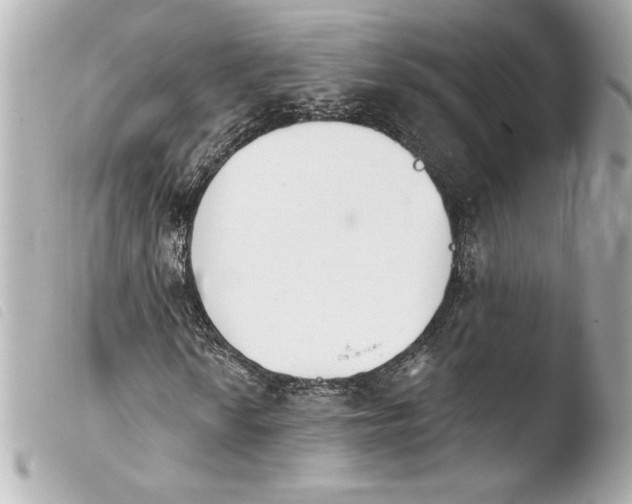 X0000103931010200810031254