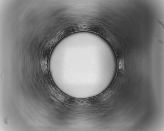 X0000103931011200810031254