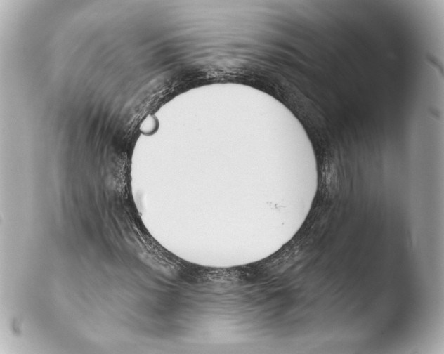 X0000103931012200810031254