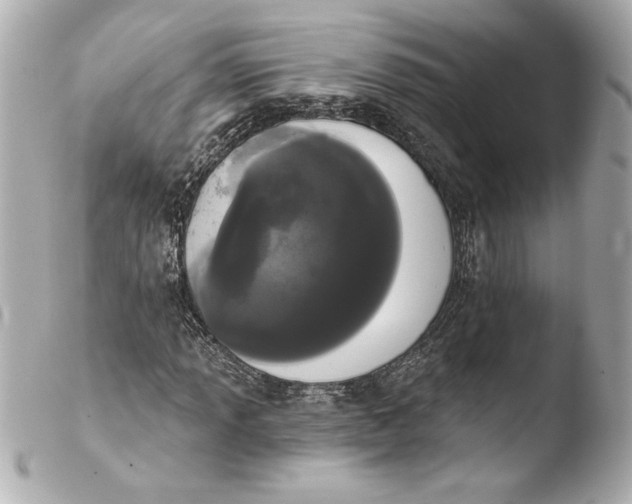X0000103931013200810031254