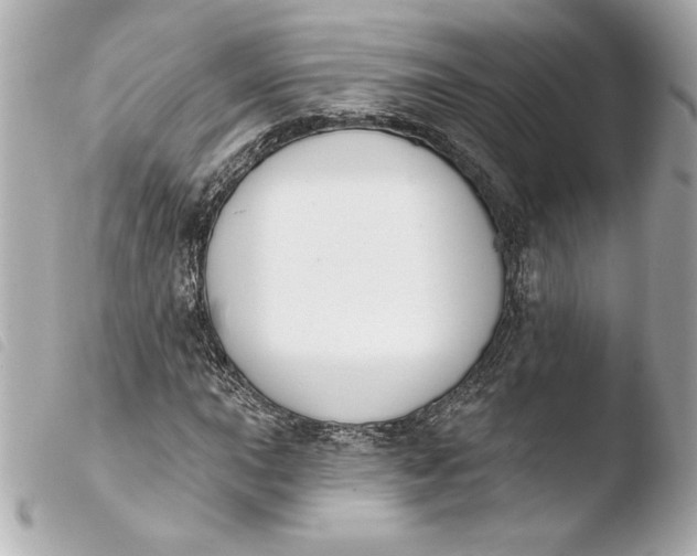 X0000103931015200810031254