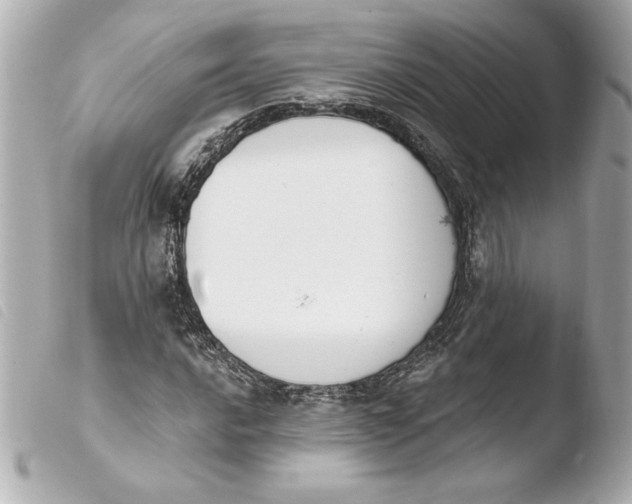 X0000103931016200810031254