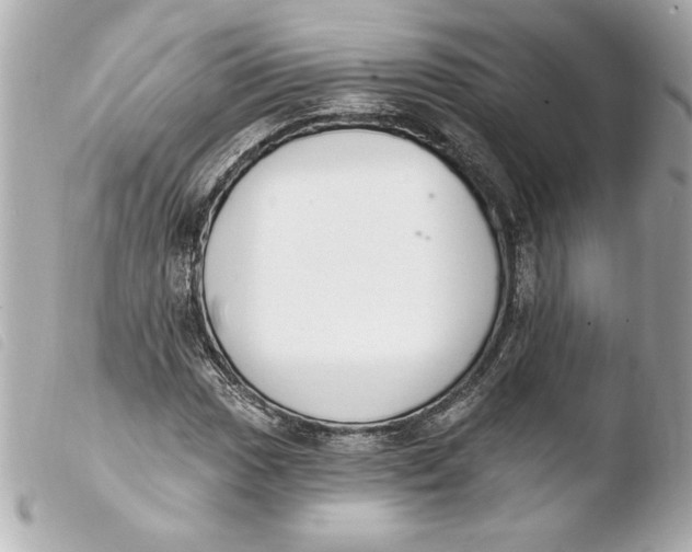 X0000103931017200810031254