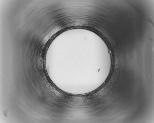 X0000103931018200810031254