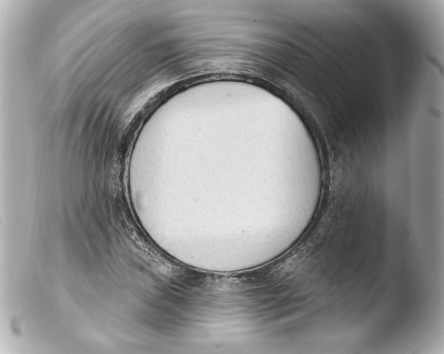 X0000103931019200810031254