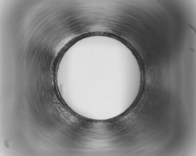X0000103931022200810031254