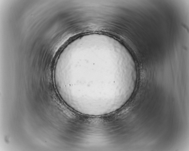 X0000103931023200810031254