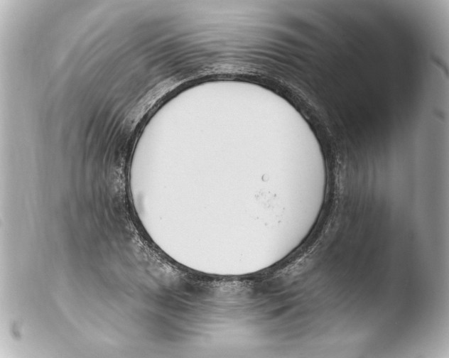 X0000103931025200810031254