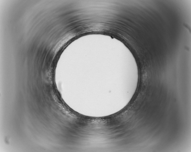 X0000103931026200810031254