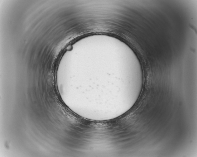 X0000103931027200810031254