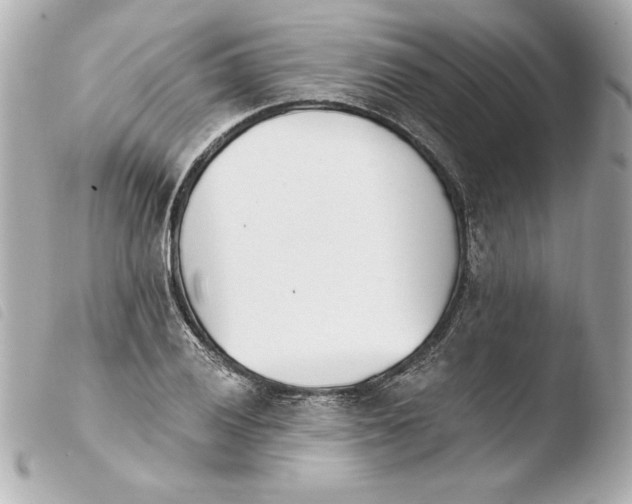X0000103931028200810031254