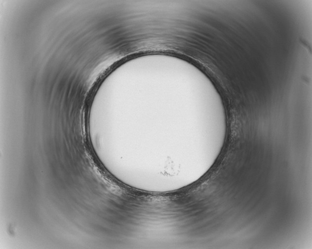 X0000103931030200810031254