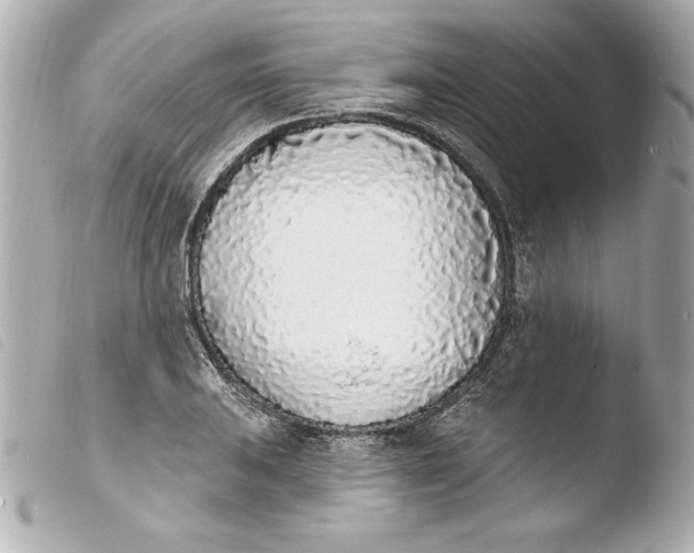 X0000103931031200810031254