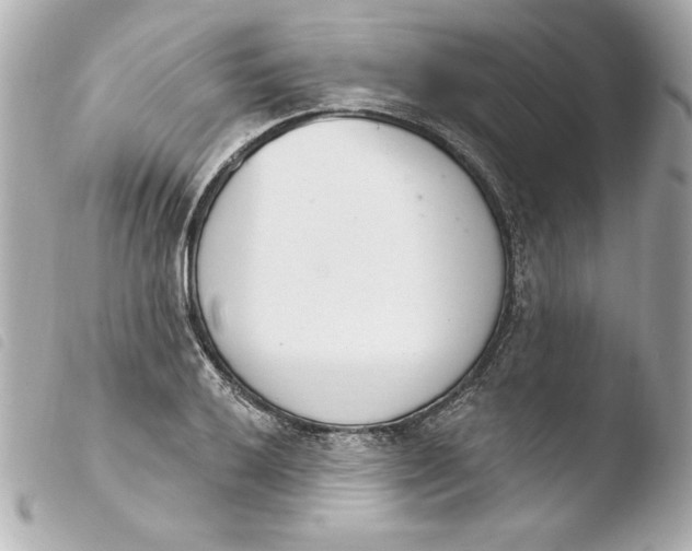 X0000103931032200810031254