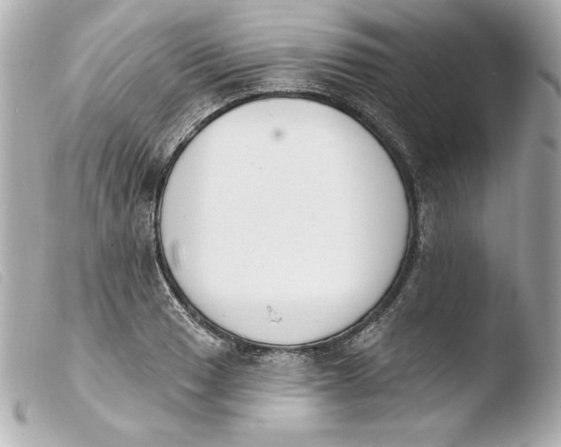 X0000103931033200810031254
