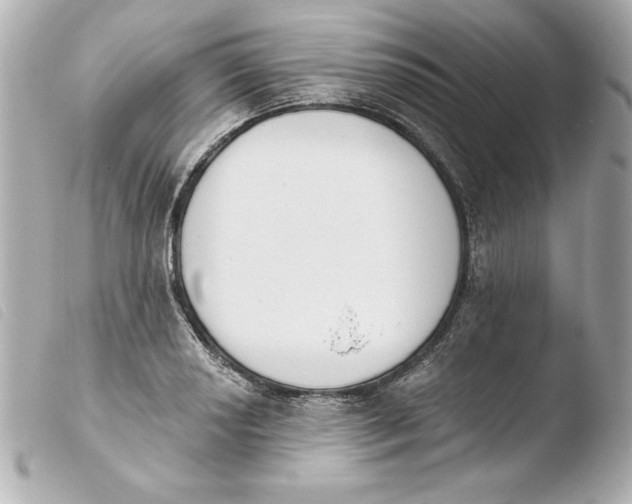 X0000103931034200810031254