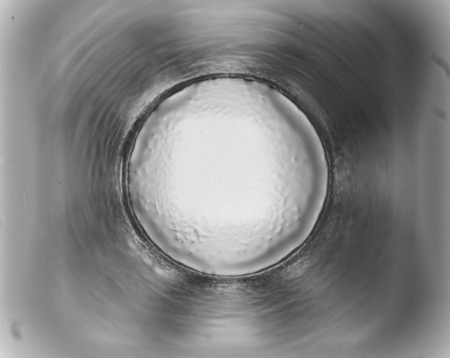 X0000103931035200810031254