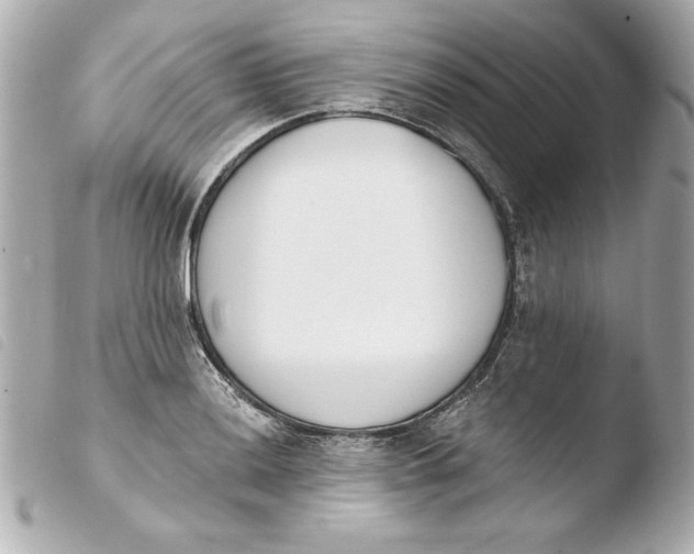 X0000103931036200810031254