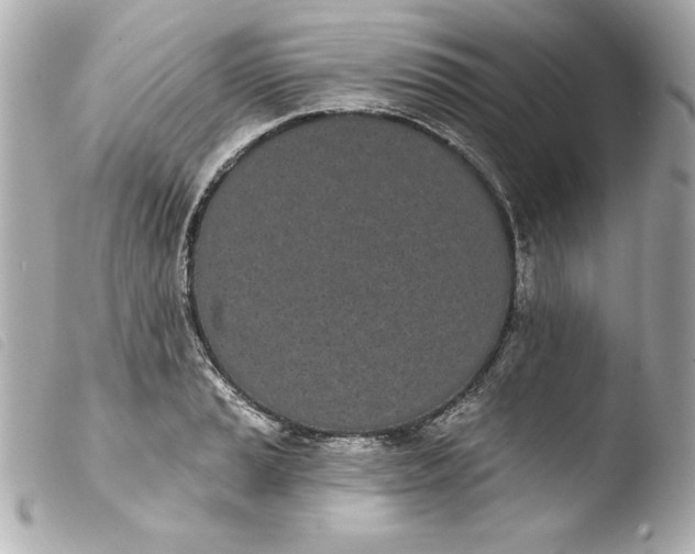 X0000103931037200810031254