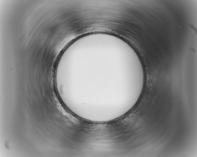 X0000103931038200810031254