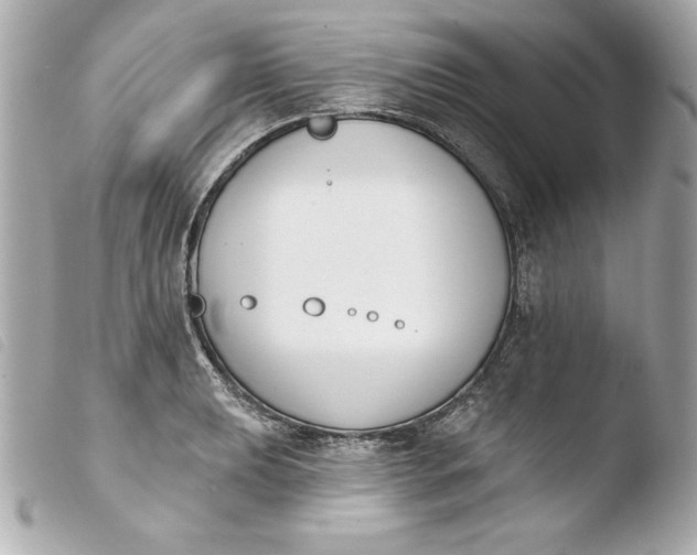X0000103931039200810031254
