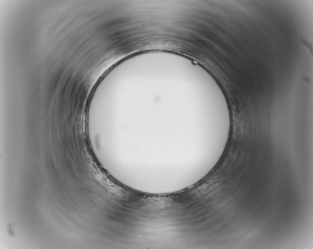 X0000103931044200810031254