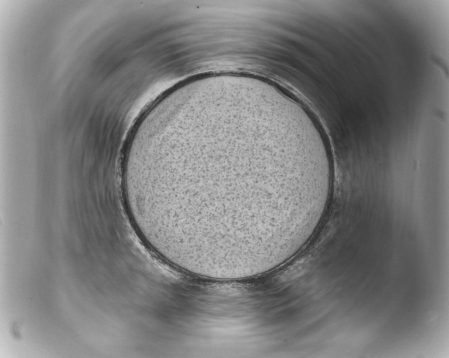 X0000103931045200810031254