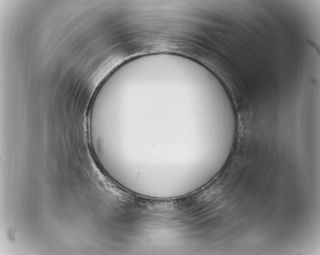 X0000103931047200810031254