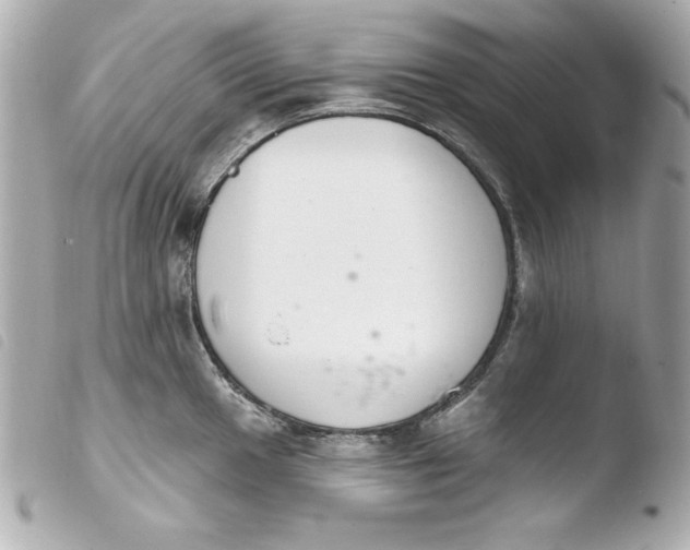 X0000103931049200810031254