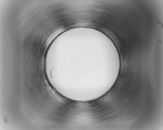 X0000103931050200810031254
