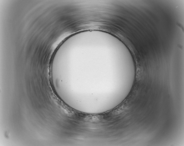 X0000103931051200810031254