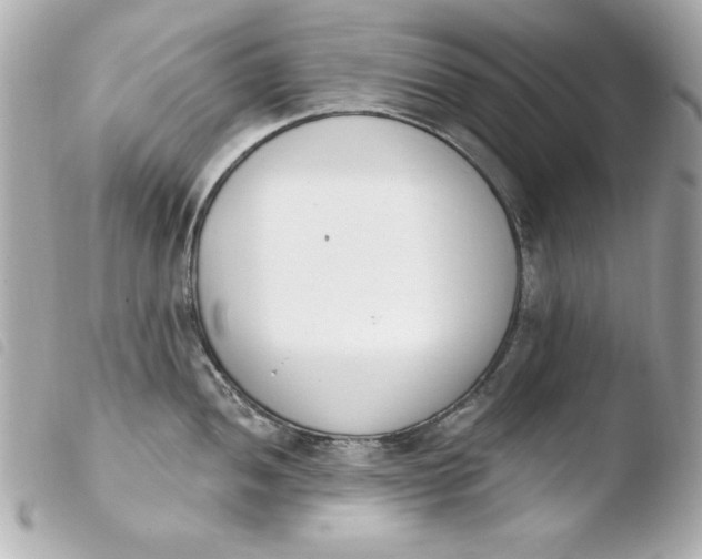 X0000103931052200810031254
